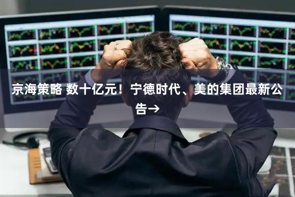 京海策略 数十亿元！宁德时代、美的集团最新公告→