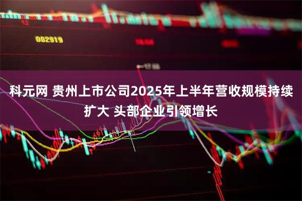 科元网 贵州上市公司2025年上半年营收规模持续扩大 头部企业引领增长