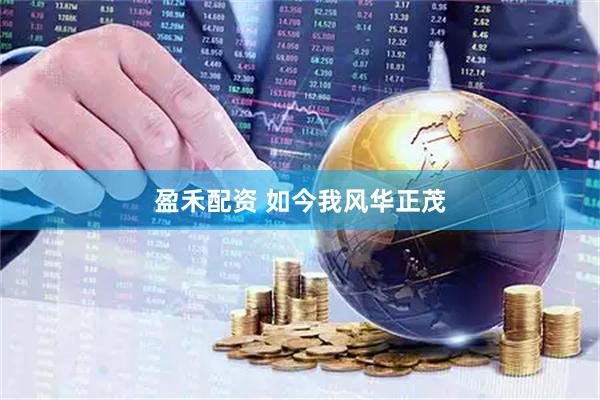 盈禾配资 如今我风华正茂